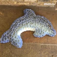 Dolphin Tribute