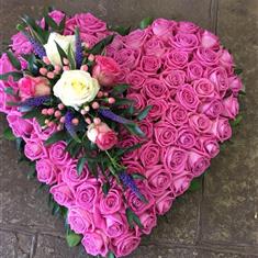 All Pink Rose Heart