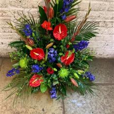 Front Facing Arrangment