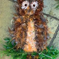 Owl Tribute