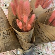 Coral bunny&#39;s tails