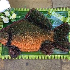 Carp Fish