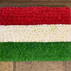 Hungary Flag