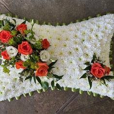 Sage Green and orange pillow