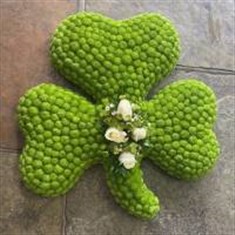 Shamrock